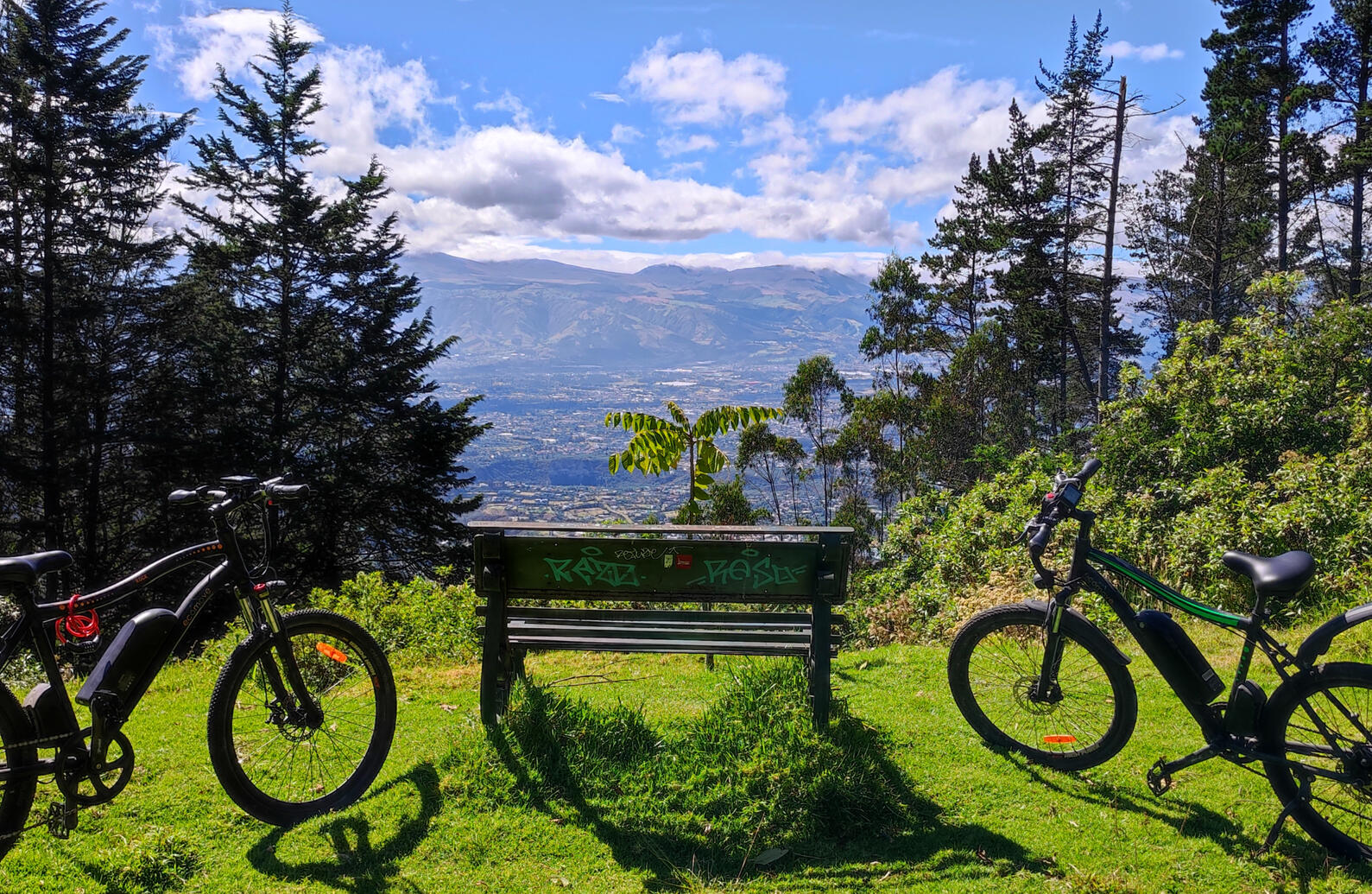 View from the top of Metropolitano Park